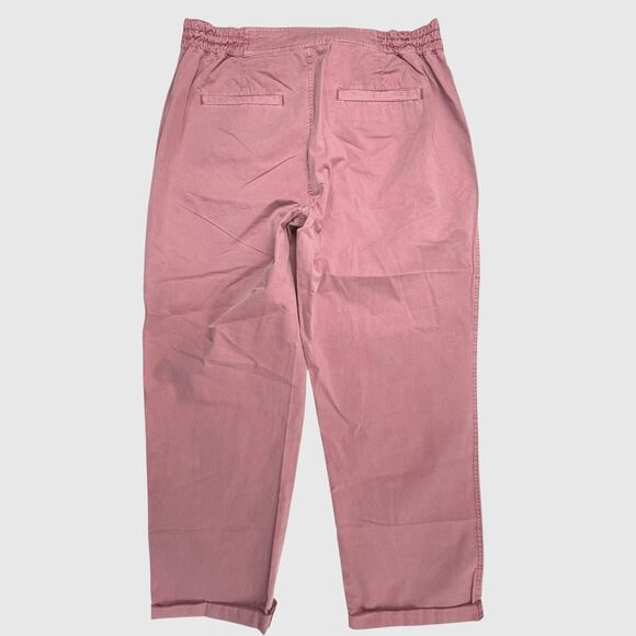 Sundance Mineral Wash Straight Leg Lightweight Chino Pants Women 12 Rose Pink - Picture 3 of 15